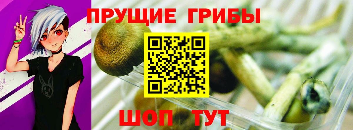 Кстово  Псилоцибиновые грибы Psilocybine cubensis  Псилоцибиновые грибы мухоморы  закладки  Вход с VPN 